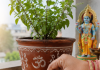निर्जला एकादशी पर्व आज: देशभर श्रद्धापूर्वक मनाइँदै, तुलसीको दल राख्ने प्रचलन